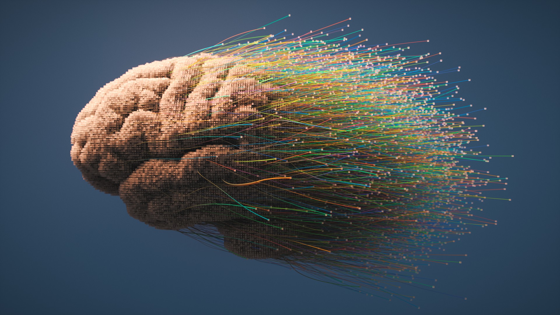 Digital Brain With Colorful Fibers